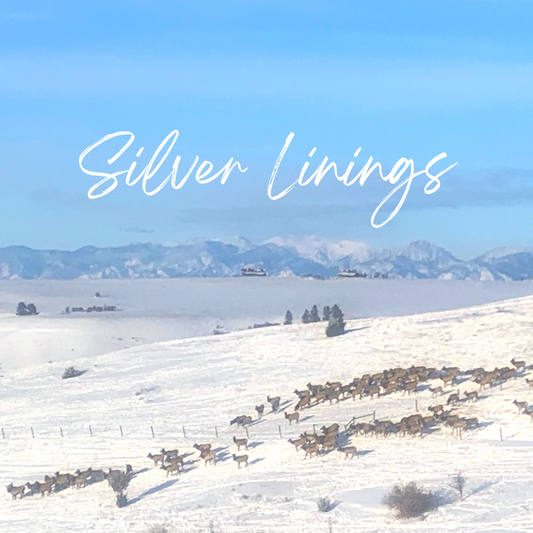 Silver Linings