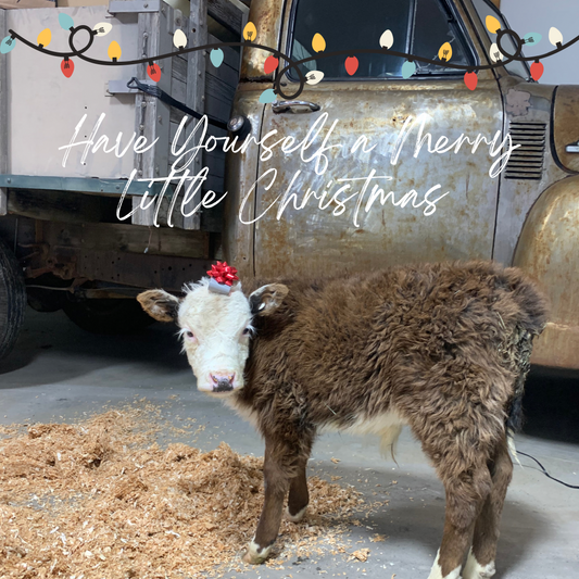 Have Yourself a Merry Little Christmas