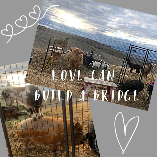 Love Can Build a Bridge