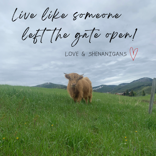 Live Like Someone Left the Gate Open