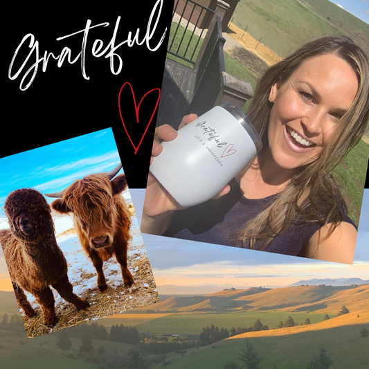 Perspective & Gratitude