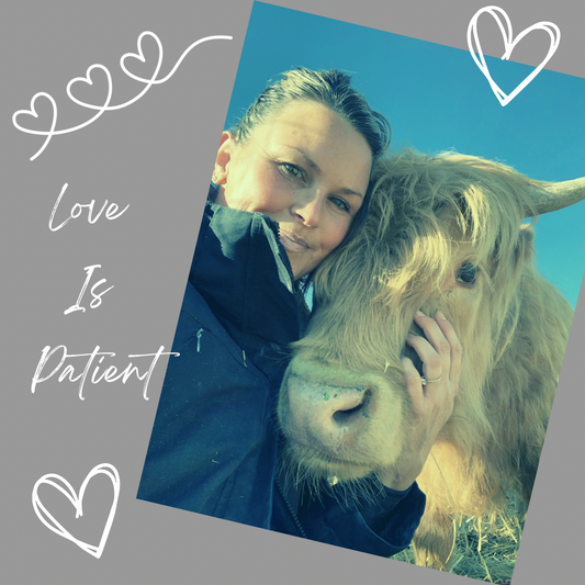 Love is Patient