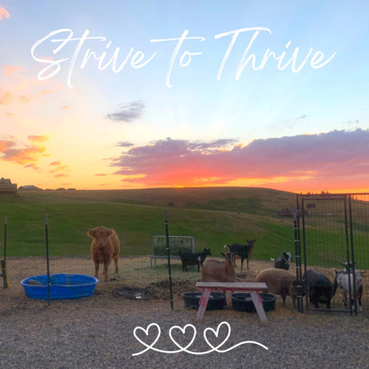 Strive to Thrive