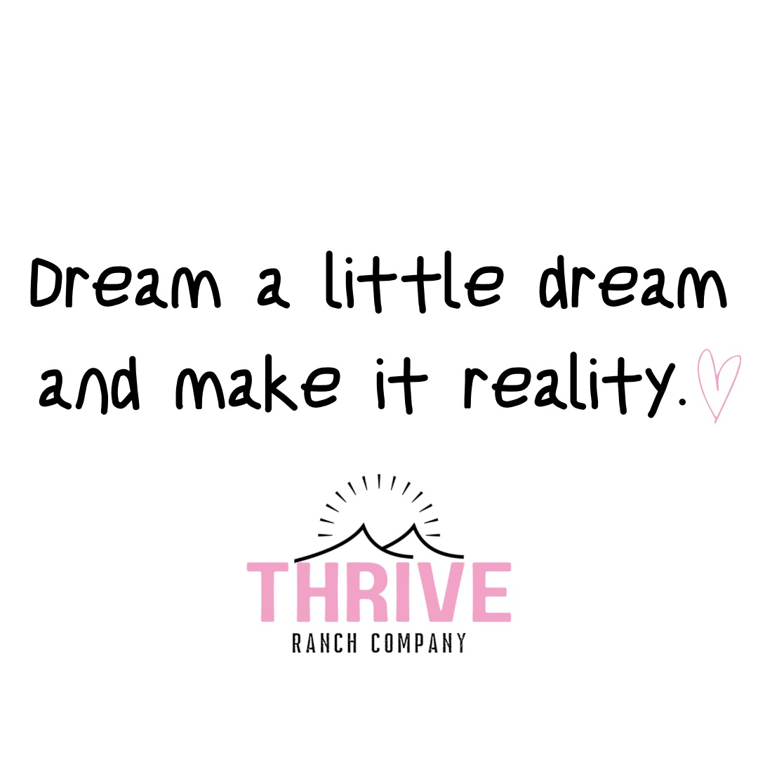 DREAM A LITTLE DREAM